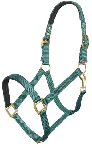 Imperial Riding Halfter Classic Sport aus robustem Nylon, weich gepolstert mit Neopren, verstellbar, mit Karabiner & luxuriösen Roségold-/Goldbeschlägen, Komfortables Pferdehalfter, Waldgrün, Fohlen