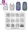 KADS Stamping Plates Blatt Natur Maniküre Vorlage Nail Art Image Plate Nagel-Design-Tools (NA016)