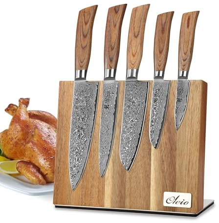 Wakoli EDIB Pro Messerblock mit Messer (5-teilig) Damastmesser Set magnetischer Block – Scharfe Küchenmesser aus 67 Lagen VG10 Damaststahl- Messerset für Hobbyköche & Profis – Geschenkbox inklusive