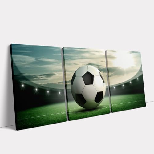 KAWAHONE - 3 Stück Billardkugeln Leinwandbild Snooker Gemälde Freizeit Sport Poster Leinwanddruck fertig zum Aufhängen Home Billard Room 30,5 x 40,6 cm x 3 Stück