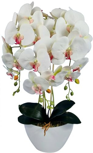 Damich Künstliche Orchidee im Topf Gummi - Modell 3pgbb, mit Moos, 60 cm hoch, 3 Stielen mit vielen Blumen (Weiß mit rosa Herz)