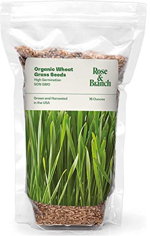 Rose and Branch Bio-Weizen-Gras-Samen, Katzengras Samen, 16 Unzen