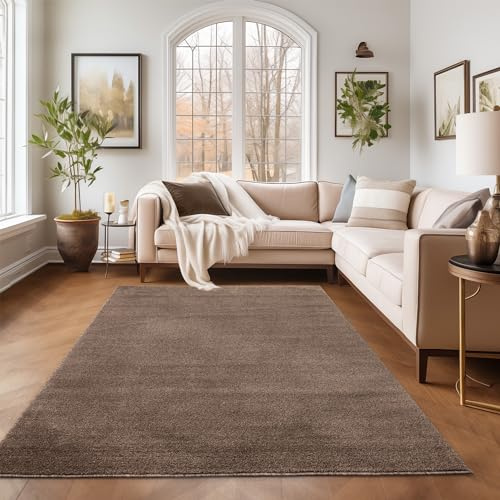 SIMPEX Teppich 280x370 cm Braun, Kurzflor, Einfarbig, Modern, Rechteckig, Pflegeleicht, rutschfest, XXL Bodenteppich für Wohnzimmer, Schlafzimmer, Essbereich