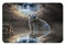 Fussmatte 40x60cm, Cooler Eisbär, Dunkle Wolken, Nacht, Reflektiert Im Wasser, Einzigartiges Tier Fußmatte Innen Stylisch Flur Geschenk Türmatte Waschbar Eingang Innenmatte
