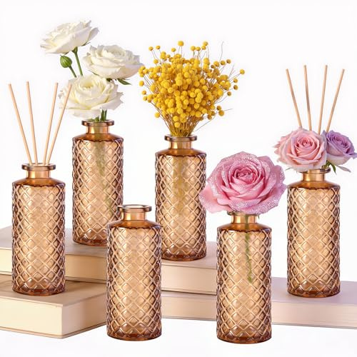 Hahorpa Petit Vase Transparent, Lot de 6 Vase Décoratif Tons Ambrés, Vases Fleur Deco Table en Verre 13 x 5 x 5 cm, pour Pampa Mariage Decoration, Deco Mariage Champêtre, Centre de Table