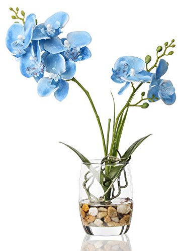Jusdreen Artificial Blue Orchid in Glass Vase, Realistic Phalaenopsis Arrangement with Potting for Home Office Table Decor, 14.5 Inch Flower Centerpiece