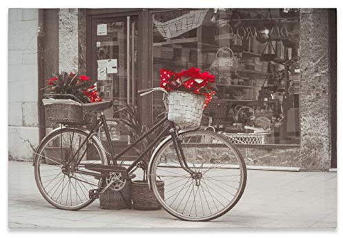 Nexos Trading Wandbild Leinwandbild Fotodruck Fahrrad 40x60 cm Kunstdruck Weihnachtsstern schwarz/weiß/rot Wand-Deko Raumdeko Dekoartikel Wohnzimmer-Deko