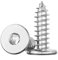 CA 304 Edelstahl Große Flachkopf-Pflaumen-Blechschraube Dünner Kopf Sternspitze Holzschraube M2-M5(12mm,M2.3 (50Pcs))