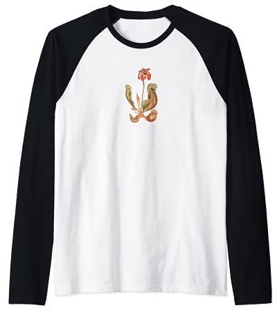 Fleischfressende Pflanzen Karnivore Schlauchpflanze Raglan