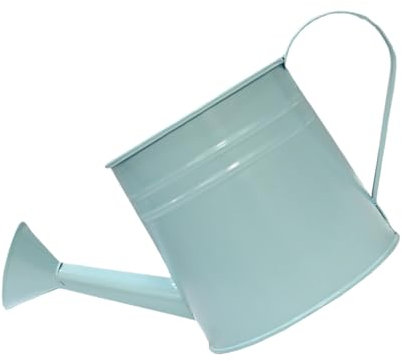 Annaffiatoio in metallo porta piante elegante bottiglia di irrigazione in metallo unico vaso per piante per casa ufficio giardino ornamento