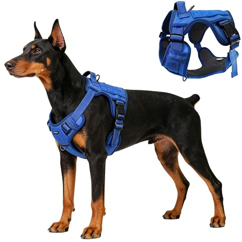AIITLE Taktisches Hundegeschirr für große Hunde, Zugfreie Militärweste mit Griff & Molle-System, verstellbares, würgefreies Design für Training und Spaziergänge, Blau, L