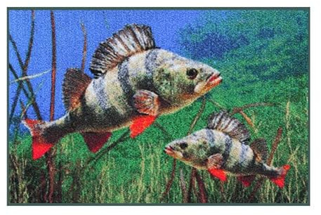 Delphin Bivvy Mat Barsch unter Wasser Fußmatte 60x40cm