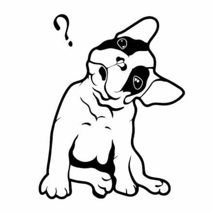 GAETOYEN Autoaufkleber Hund Personalisiert 12,8 X 16,2 cm Französische Bulldogge, Süßer Welpe, Haustier, Fragezeichen, Autoaufkleber, Vinyl-Aufkleber, Schwarz/Silber Css1A3539