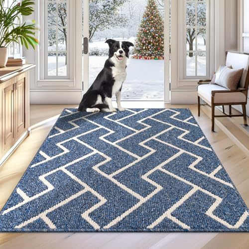 Biscpro Indoor Door Mats,90x150cm Door Mat Non Slip Backing,Dirt Trapper Mat Absorbent Non-Slip Doormat for Entrance,Inside,Kitchen,Front Back Door,Pets and Garden-Blue