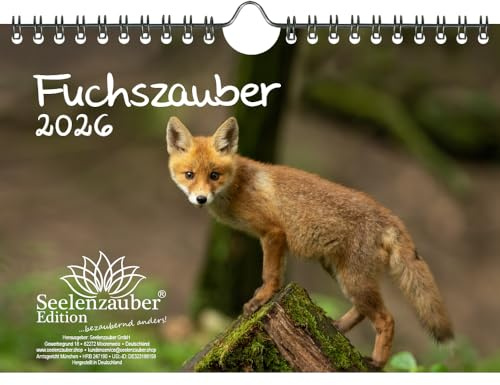 Fuchszauber DIN A5 Kalender für 2026 Fuchs und Füchse - Seelenzauber