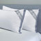 BedStory Lot de 2 Oreillers, Oreillers en Microfibre de Haute Qualité, Oreiller Respirant avec Maille, 2 Oreillers Doux et Confortable, Anti-Acarien et Hypoallergénique (50_x_70_cm)