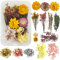 Ourdort DIY Getrocknete Blumen, Natürliche Trockenblumen, Schleierkraut, Hortensie, Innen & Außen, Gelb, Violett, Blau