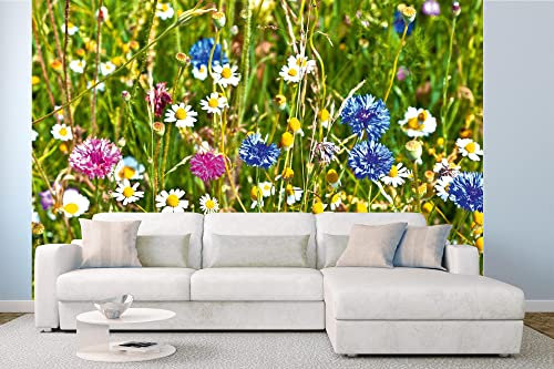 WTD Mantiburi Papier peint photo non tissé Motif Champ de fleurs sauvages 375 x 250 cm (avec colle) Prêt à être monté