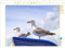 CALVENDO Puzzle Möwen auf einem Strandkorb an der Ostsee | 1000 Teile Lege-Größe 64 x 48 cm Foto-Puzzle für glückliche Stunden