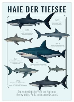 MrTKBooker Poster Jungenzimmer Haie mit Fakten deutsch (A4 (29,7 x 21 cm))