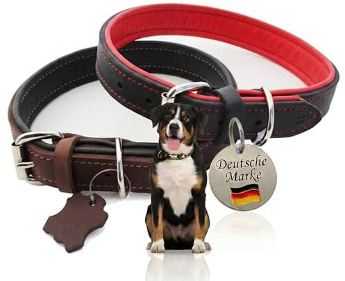 Activity4Dogs Hundehalsband Leder L 3cm breit – Gepolstert mit Nappa – Handgefertigt – Premium Echtleder Braun Schwarz – Robust, 5-Fach verstellbar 48-53 cm für mittelgroße und große Hunde