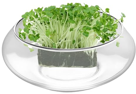 Vase en Verre en Forme de Bol - Pot Bas,Bol en Verre Transparent, Large et Rond pour Décoration Florale d'Intérieur, Pièce Maîtresse, Mariage, Maison et Événements