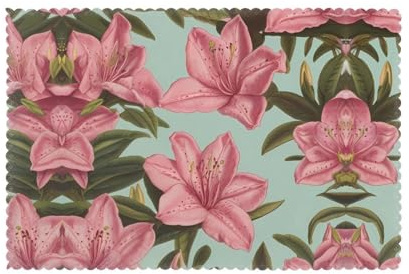 Six piece set of oil proof and heat-insulating placemats WZYWHJ Azalea Prints dining plates