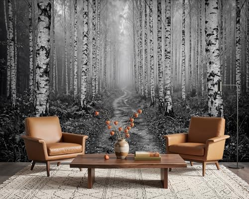 PaxGloz Fototapete Wald Schwarz Weiß Tapete Waldweg Birkenwald Tapeten Vliestapete Modern Wandtapete Wohnzimmer Schlafzimmer Kinderzimmer Wanddeko Motivtapeten 300 x 210 cm (B x H)