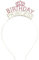 Oblique Unique® Haarreifen Birthday Princess mit Diamanten und Krone Haarreif für Geburtstag Mädchen Damen Frauen in Silber Pink aus Metall