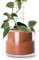 Phoenix Vine 51-A-F-1 Selbstbewässernder Pflanzentopf, Design Terrakotta-Topf für Pflanzen, Zylinder-Terrakotta-Pflanzgefäß mit Glasvase, 15,2 cm