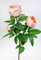 Pfingstrose Nature 68cm apricot-Peach GA Kunstblumen Seidenblumen künstliche Blumen Päonie