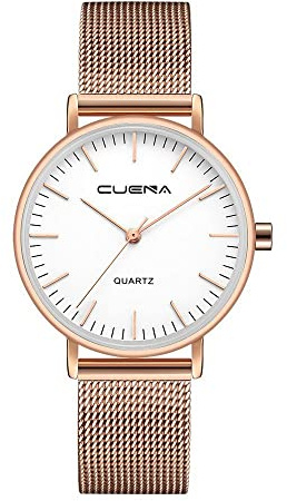 Basfur Dress Watch Fe-Montre-060-02