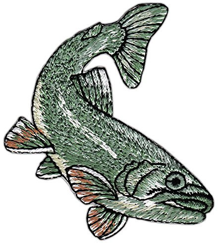 Fisch Grün Karpfen Aufnäher zum aufbügeln oder aufnähen Bügelbild Aufbügler für Kleidung gestickter Bügelpatch Applikation Angeln Patch Größe 6,0 x 7,0 cm