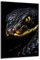 DARO Design - Wand-Bild auf 6mm HDF 70x50 cm schwarze Schlange - Wand-Deko Bilder Geschenk