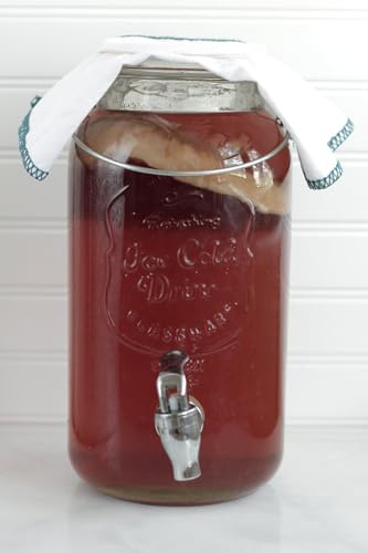 Kombuchaorganic ® Certified Organic Large (5 Litre) and Mature Beautiful Kombucha Scoby Starter Tea FREE Postal Service