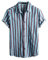 VATPAVE Mens Floral Hawaiian Shirts Short Sleeve Button Down Beach Shirts Large Blue Summer