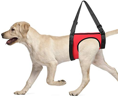Tragehilfe Hund hinten, Hundeunterst¨¹tzungsgurt Haustier Gehhilfe Heben Ziehen Weste Stabilit?t Zu Verbessern Hundegeschirr optimal auf Ihre K?rpergr??e einstellbar f¨¹r alte und verletzte Hunde