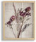 VO design Finn Premium Bilderrahmen Posterrahmen 84x118,8 cm Sonoma Eiche Dekor 118,8x84 cm mit weisser Rückwand und klarem Acrylglas