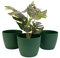 Home Garden Ornaments Large Plant Pots Indoor – Indoor Plant Pot for Home and Garden, Decorative Striped Set of 3 Flower Pots (Diameter 25.5cm, Green)