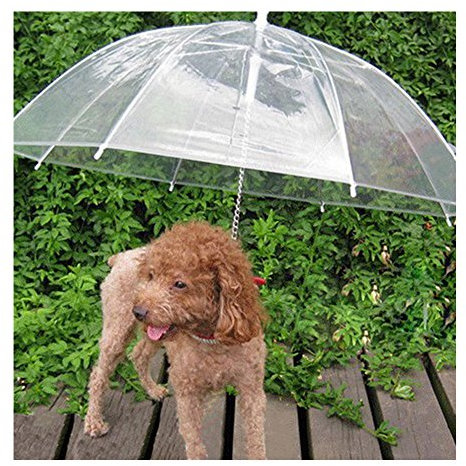 Haustier-Regenschirm (Hund/Katzenschirm), Hundeleine, transparent, wasserdicht, Haustier-Regenschirm für trockene Spaziergänge bei Regen, Schnee