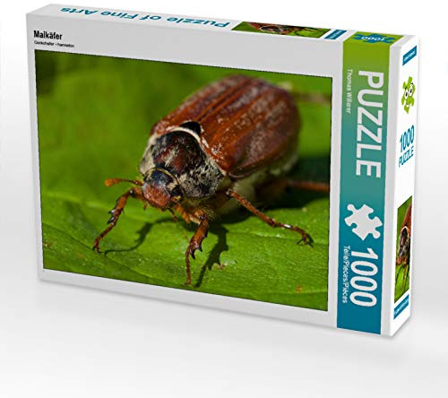 CALVENDO Puzzle Maikäfer | 1000 Teile Lege-Größe 64 x 48 cm Foto-Puzzle für glückliche Stunden