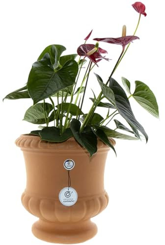 CERÁMICA RAMBLEÑA | Maceta Grande Exterior | Maceta Original de Barro Rojo Copa - Modelo J25 | 31x31x31 cm