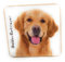 Golden Retriever Hund Haustier Untersetzer für Getränke Kaffee Tee 9,5 x 9,5 cm Geburtstag Geschenk Weihnachten Nikolausstiefel Hund Papa Mama Geschenk Hundeliebhaber