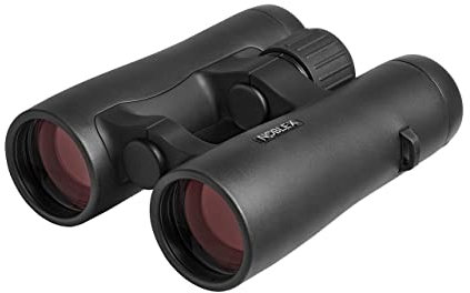NOBLEX Fernglas NF 10x42 Vector | Premium Outdoor Fernglas für Erwachsene zur Vogelbeobachtung, zum Wandern oder für die Jagd | Wasserdicht und leicht | schwarz