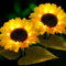HELESIN Solar Lights Outdoor Garden, 2 Pack Flower Lights for Garden, Solar Sunflower Pathways Light for Patio Lawn Pathway Fence