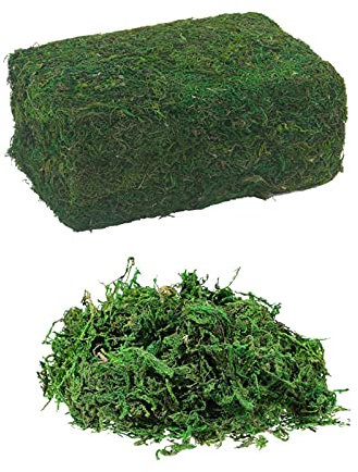 Huianpen Décoration Fausse Mousse, Mousse Artificielle,Lichen pour Décoration,Fausses Plantes de Lichen Vert pour la Maison, Terrasse, Jardin, Décoration de Patio, Grand Paquet, Vert