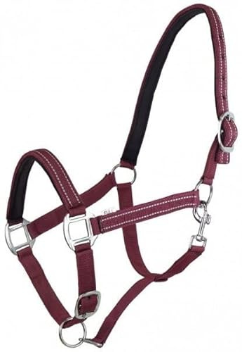 York Halfter Teo Pferdehalfter Weidenhalfter (Pony, Weinrot)