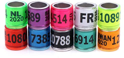 zalati Birds Aluminiumringe 100 Stück Fußring Beinbänder für Brieftauben, Papageien, Finken, Kanarienvögel, Geflügel, Farbe zufällig