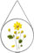 REDHUGO Glasrahmen, rund, gepresst, Blumenrahmen, Kreis, Schwarz, Durchmesser φ 29 cm