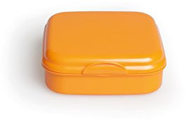 Excelsa Take Away Contenitore Porta Panino, Polipropilene, Arancio, 15x15x5 cm